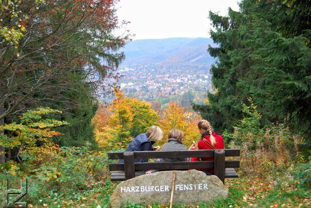 Ferienwohnungen Am Elfenstein Bad Harzburg Zewnętrze zdjęcie